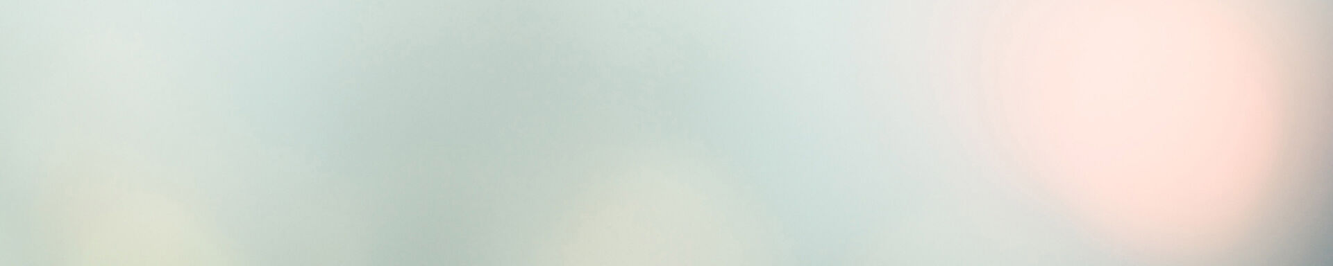 Onze Partners Caresq